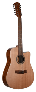 **TETON STS105CENT-12 ACOUSTIC ELECTRIC 12 STRING - IN-STORE PICKUP ONLY -**